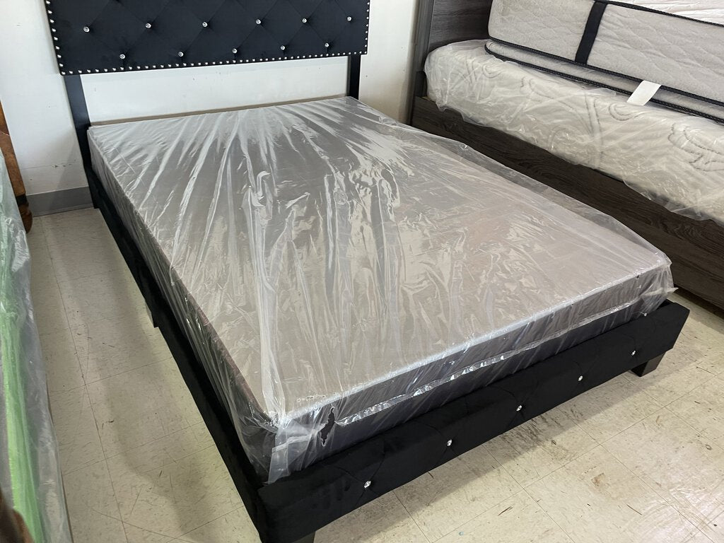 Allergy Free Purple Border Refurb Full Box