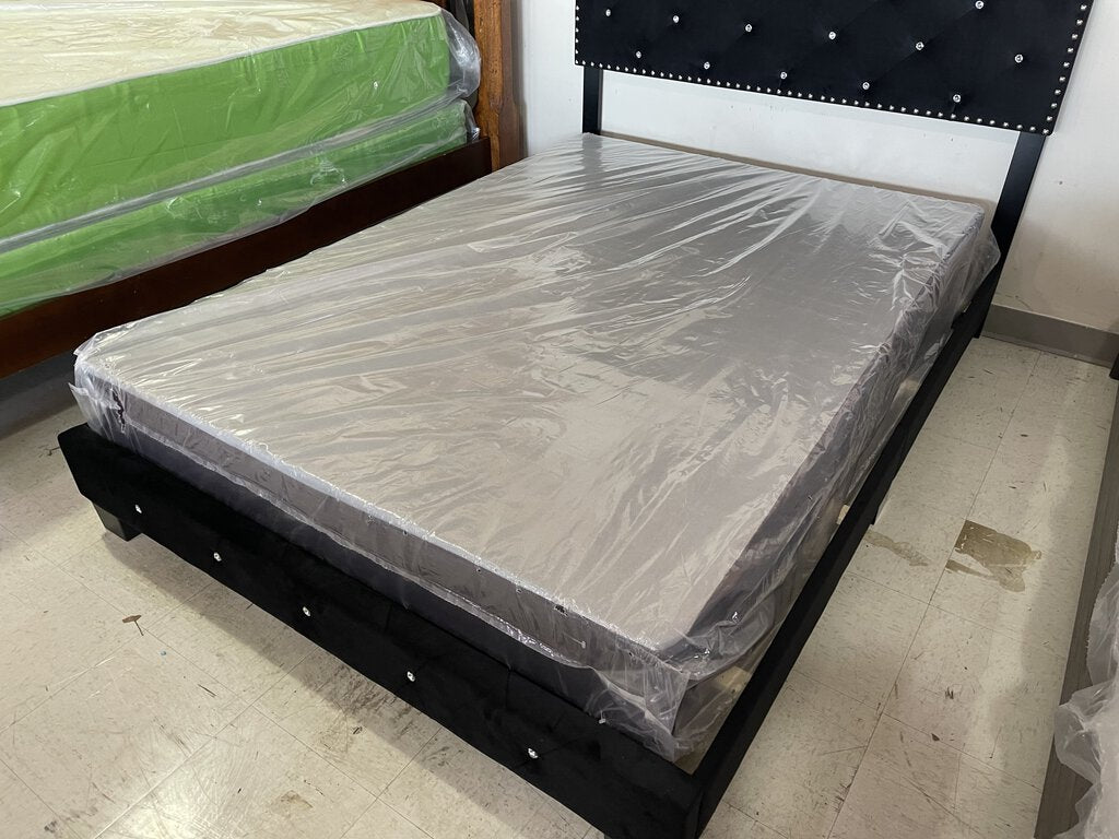 Allergy Free Purple Border Refurb Full Box