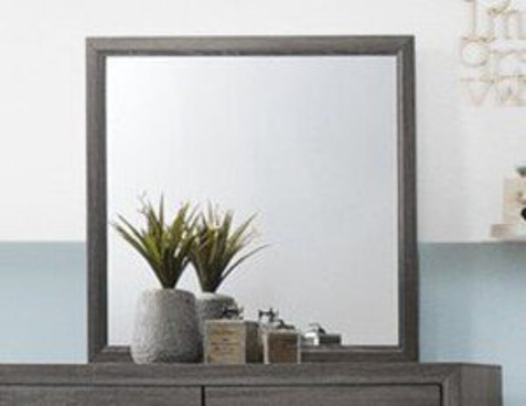 Tyler Gray NEW Dresser w/Mirror 58x16x37-72 (107094)