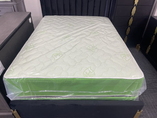 Aloe Vera Green Border Queen Refurb Mattress