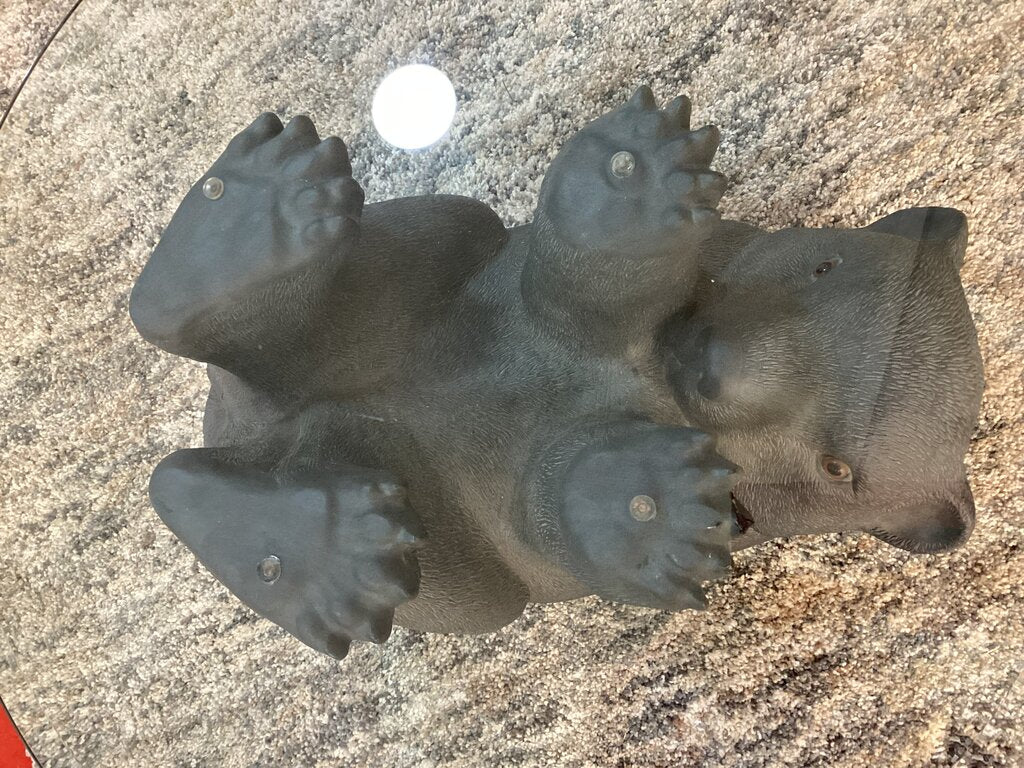 85065 - Black Bear Glass Top Coffee Table 28x17