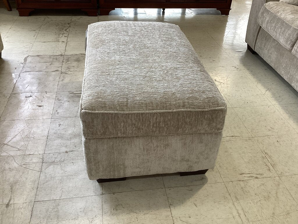 Ritz Taupe Storage Ottoman 40x24x18 (12506-5864)