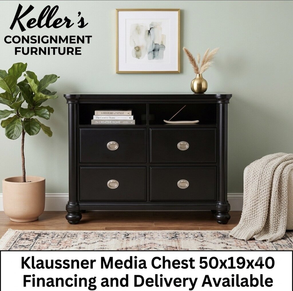85561 - Klaussner Media Chest 50x19x40