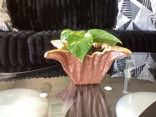 86368 Handmade Cement Planter w/Golden Pothos 8x8x5